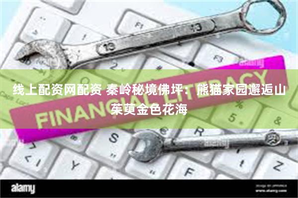 线上配资网配资 秦岭秘境佛坪：熊猫家园邂逅山茱萸金色花海