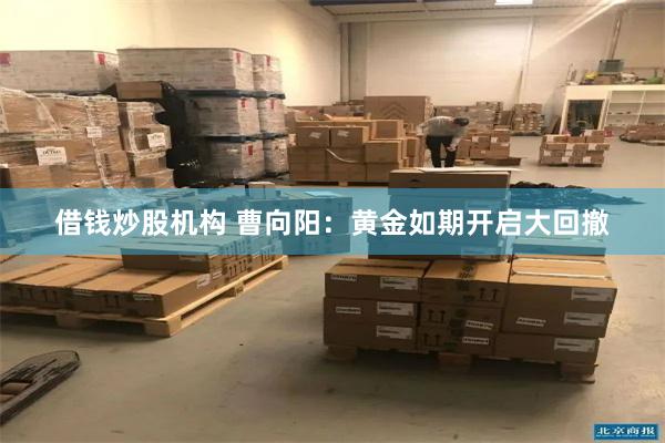 借钱炒股机构 曹向阳：黄金如期开启大回撤