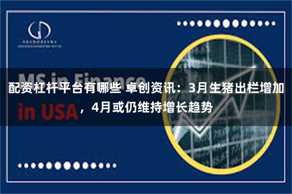 配资杠杆平台有哪些 卓创资讯：3月生猪出栏增加，4月或仍维持增长趋势