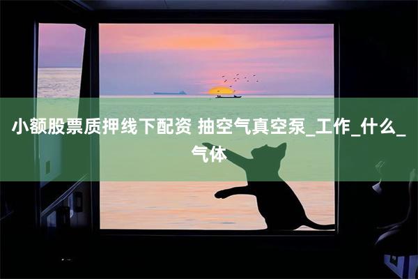 小额股票质押线下配资 抽空气真空泵_工作_什么_气体