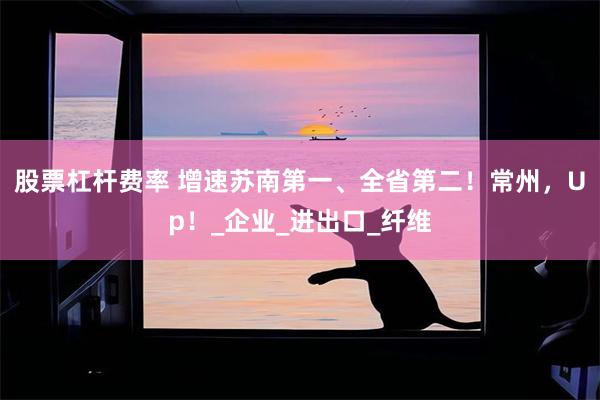 股票杠杆费率 增速苏南第一、全省第二！常州，Up！_企业_进出口_纤维