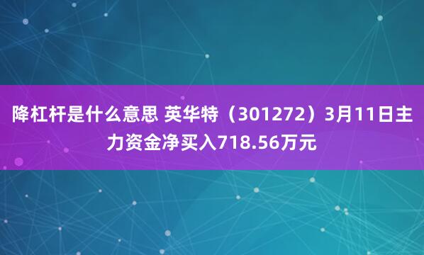 降杠杆是什么意思 英华特（301272）3月11日主力资金净买入718.56万元
