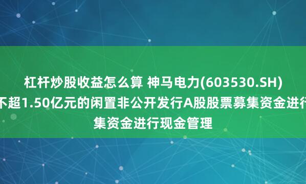 杠杆炒股收益怎么算 神马电力(603530.SH)：拟使用不超1.50亿元的闲置非公开发行A股股票募集资金进行现金管理