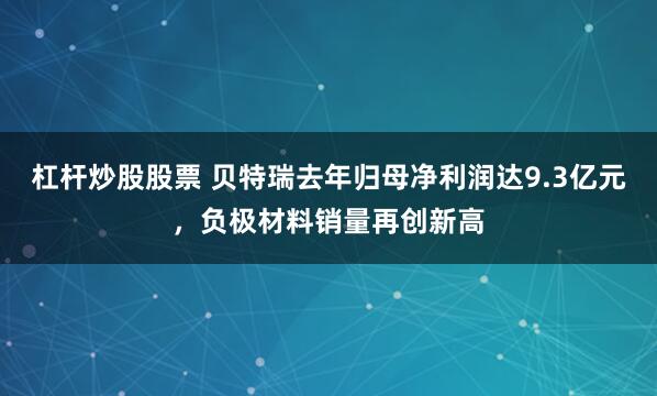 杠杆炒股股票 贝特瑞去年归母净利润达9.3亿元，负极材料销量再创新高