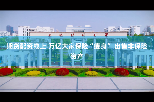 期货配资线上 万亿大家保险“瘦身” 出售非保险资产