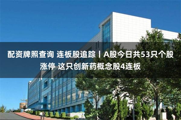 配资牌照查询 连板股追踪丨A股今日共53只个股涨停 这只创新药概念股4连板