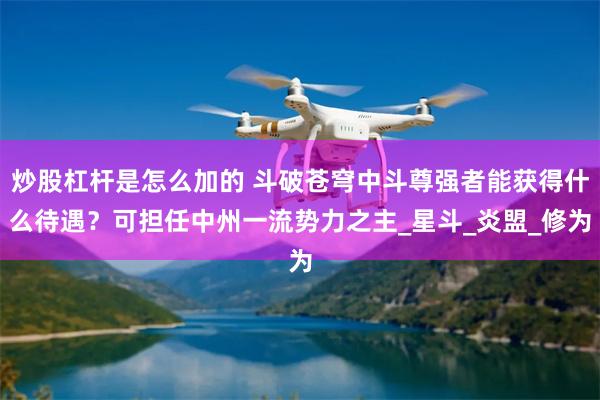 炒股杠杆是怎么加的 斗破苍穹中斗尊强者能获得什么待遇？可担任中州一流势力之主_星斗_炎盟_修为
