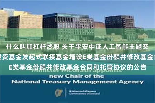 什么叫加杠杆炒股 关于平安中证人工智能主题交易型开放式指数证券投资基金发起式联接基金增设E类基金份额并修改基金合同和托管协议的公告