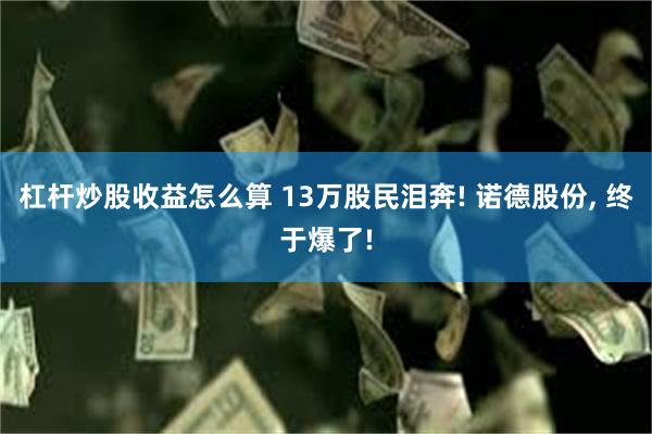杠杆炒股收益怎么算 13万股民泪奔! 诺德股份, 终于爆了!