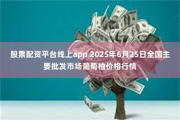 股票配资平台线上app 2025年6月25日全国主要批发市场葡萄柚价格行情